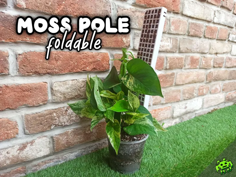 Foldable Moss pole