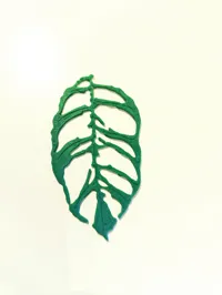 Ensemble de feuilles de monstera — photo 2