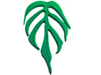 Ensemble de feuilles de monstera — photo 1