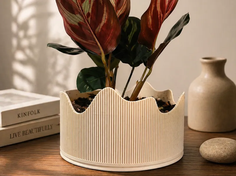 Wavy Pot Plant