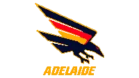 Porte-clés Adelaide Crows — photo 2
