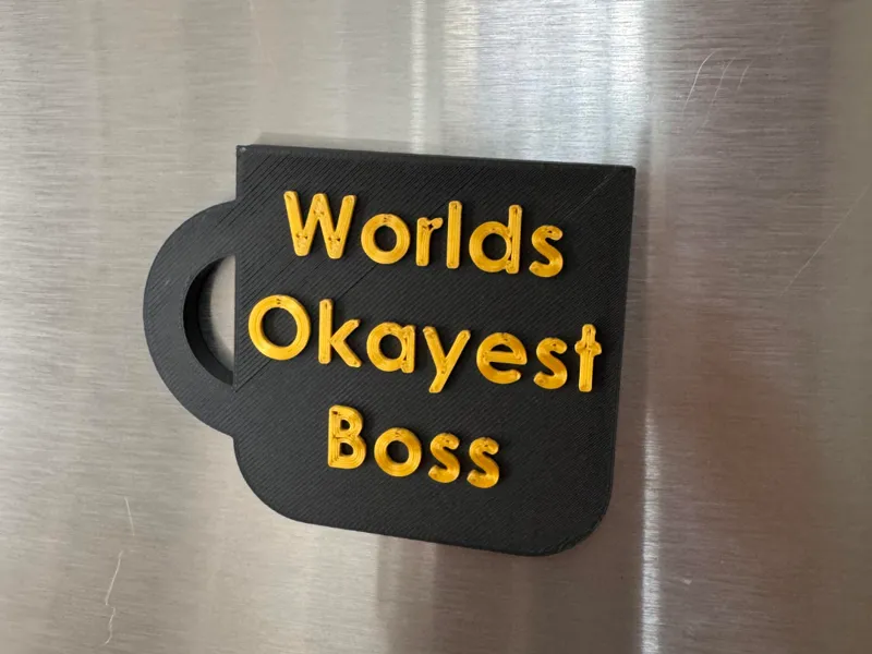 Worlds Okayest Boss Magnet