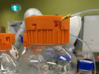 0.24mm layer, 2 walls, 15% infill