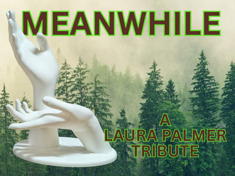 Meanwhile - A Laura Palmer & Twin Peaks Tribute