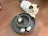 Cat Toys