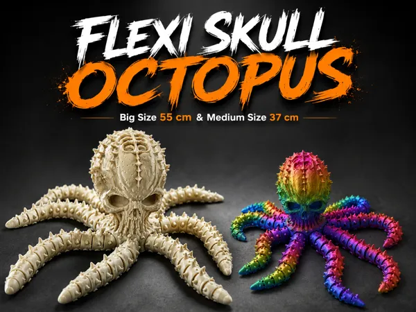 https://makerworld.bblmw.com/makerworld/model/US47cfd8f97cabcf/design/3592cf78925b7c29.png