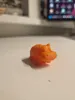 Single color one