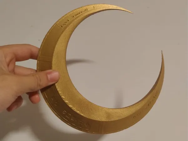 https://makerworld.bblmw.com/makerworld/model/US47d405c46943e8/design/2025-06-13_0f0a28b8d7b4b.jpg