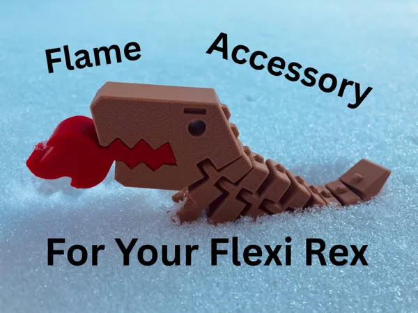 https://makerworld.bblmw.com/makerworld/model/US47d7788c36aa93/design/fe9d6ce65e7a0585.png