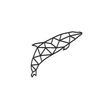 Dauphin en line art — photo 3