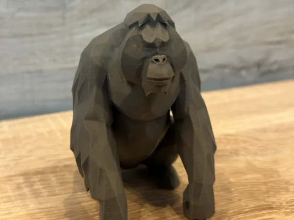 https://makerworld.bblmw.com/makerworld/model/US47df0f17cda384/design/cf515e7720d9e65e.png