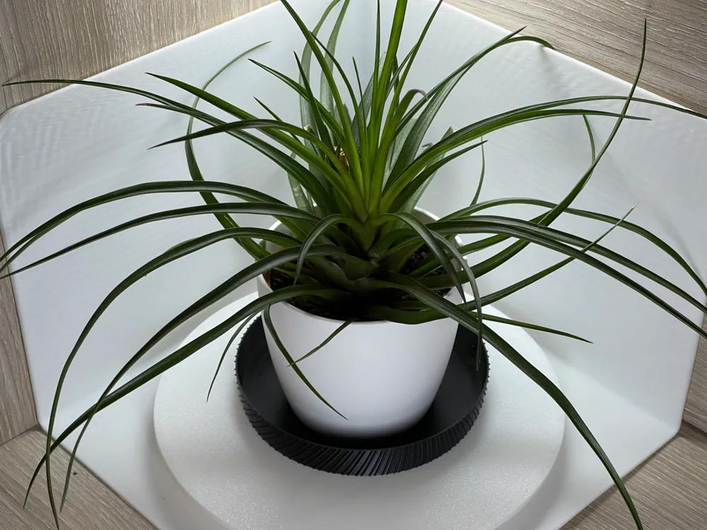 Designer & Durable Pot Saucer by Zed Kawa - MakerWorld