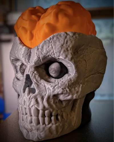 BRAIN SKULL