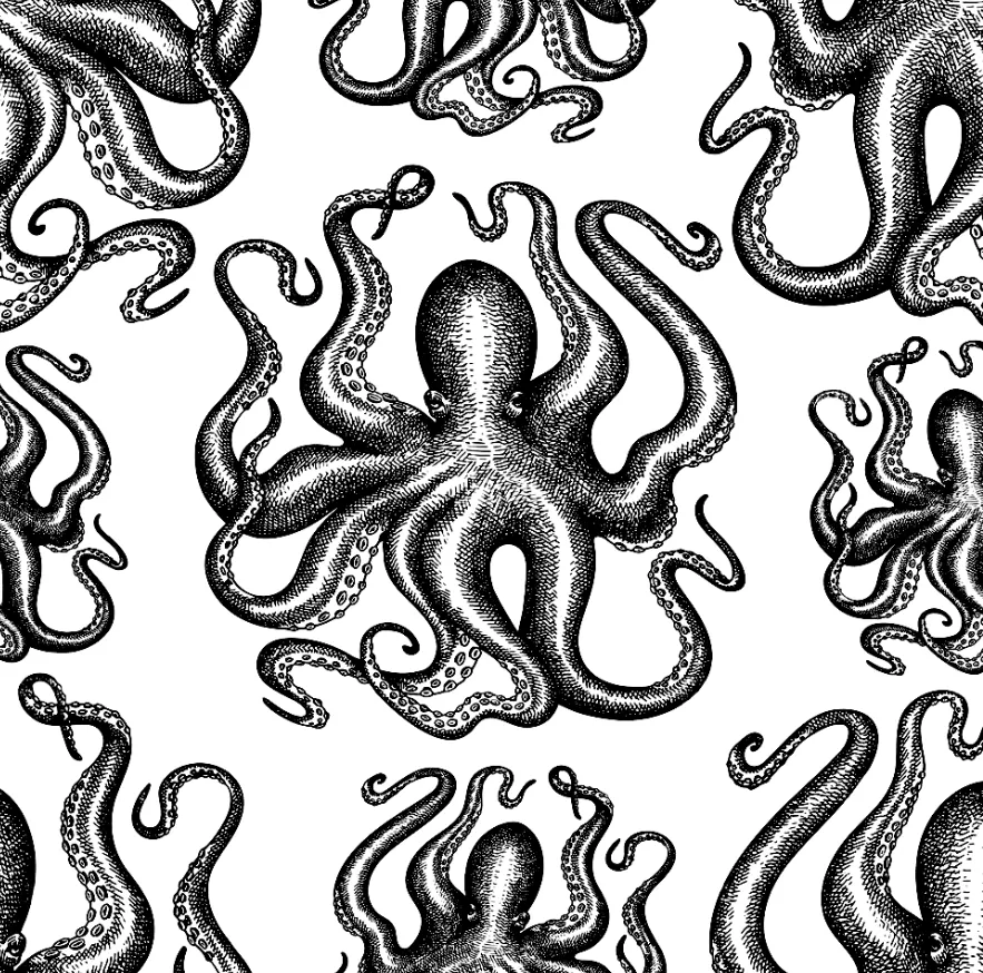 Vroid Octopus Texture Texture Roller V176 | Octopus - Free 3D Print Model - MakerWorld
