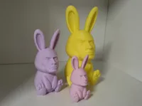 50% Scale