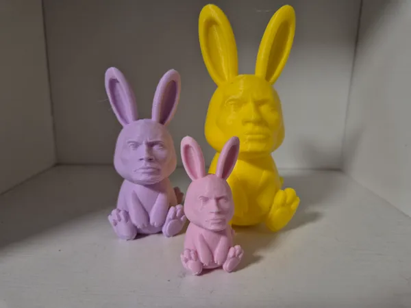 https://makerworld.bblmw.com/makerworld/model/US47ea9f8e165aeb/design/bc9e12a84da093bf.jpg