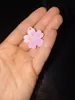 Small two-color cherry blossom