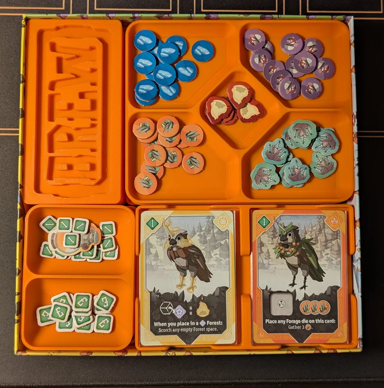 Brew Insert view 3