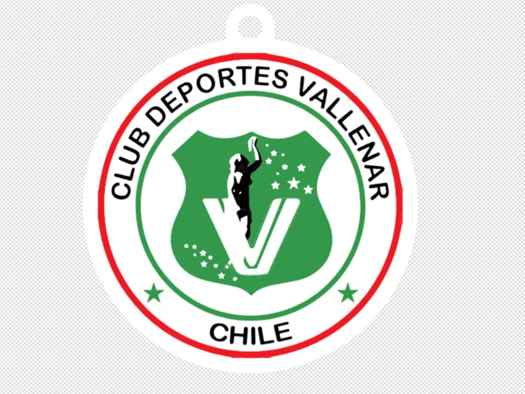 Deportes Vallenar Futbol Club