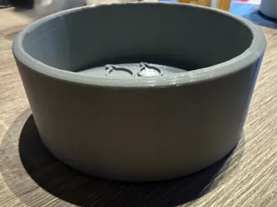 cat food bowl