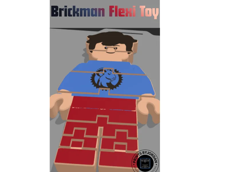 Brickman Flexi Toy