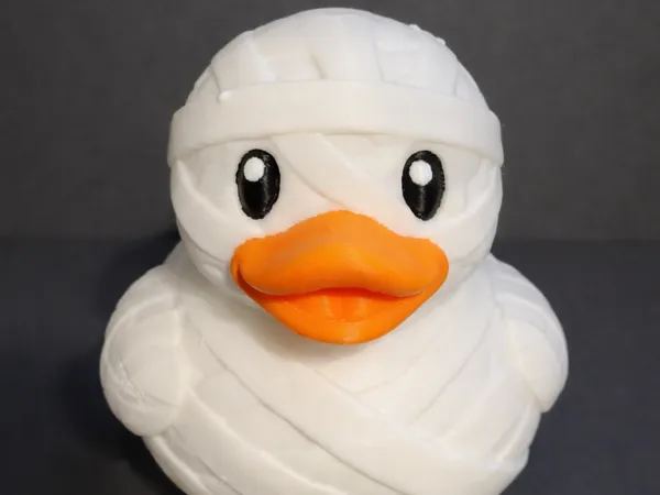 https://makerworld.bblmw.com/makerworld/model/US47f8b9e920b39c/design/280264d258eed9b0.png