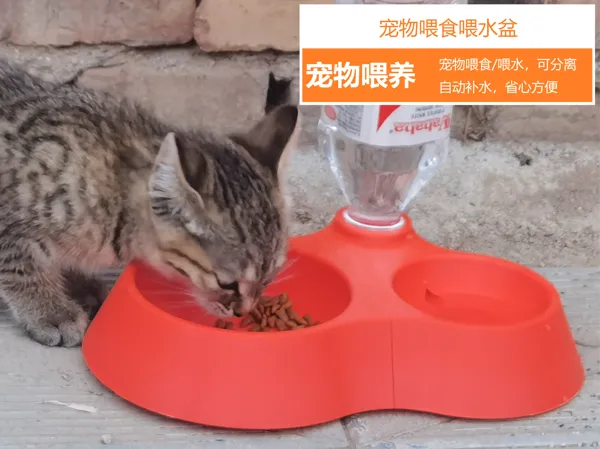 https://makerworld.bblmw.com/makerworld/model/US47ffcab75b1c37/design/2025-08-02_319fe5a6bd2428.jpg