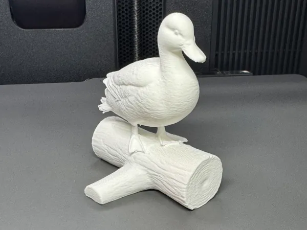 https://makerworld.bblmw.com/makerworld/model/US48015c6da35aed/design/7826fae21c2985a7.jpeg