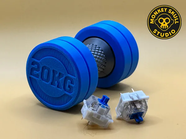 https://makerworld.bblmw.com/makerworld/model/US4801b023490fb3/design/2025-12-29_1912297875b33.png