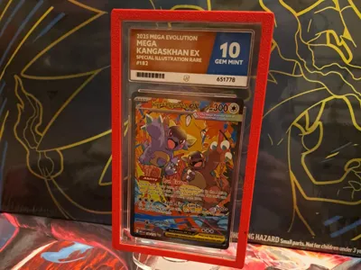 Ace Graded Bumper Protection Pokemon-Graded Cards