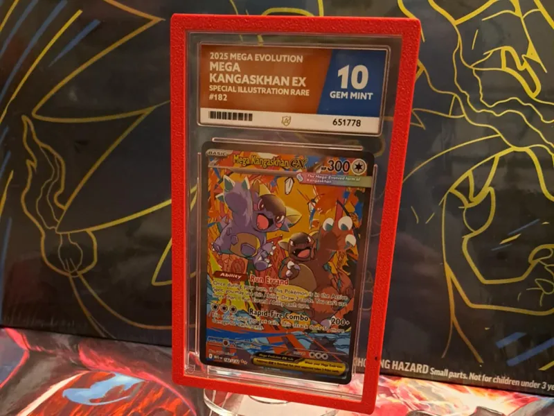 Ace Graded Bumper Protection Pokemon-Graded Cards