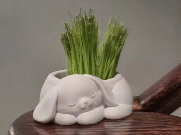 https://makerworld.bblmw.com/makerworld/model/US480403ea98f9d/design/45155d0fe09a5d3f.jpg