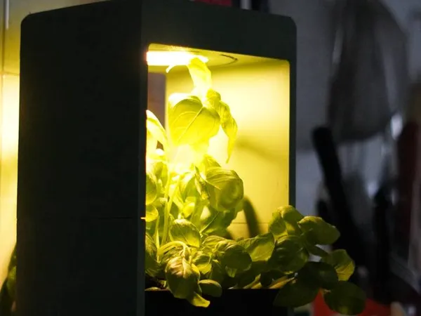 https://makerworld.bblmw.com/makerworld/model/US48047aab9afee5/design/ab0e48b8f9928a3a.jpg
