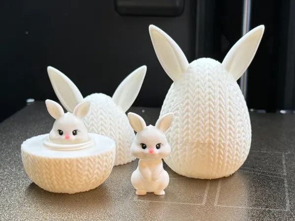 https://makerworld.bblmw.com/makerworld/model/US4807a119b17810/design/d4ee21ec4d22c61d.jpeg