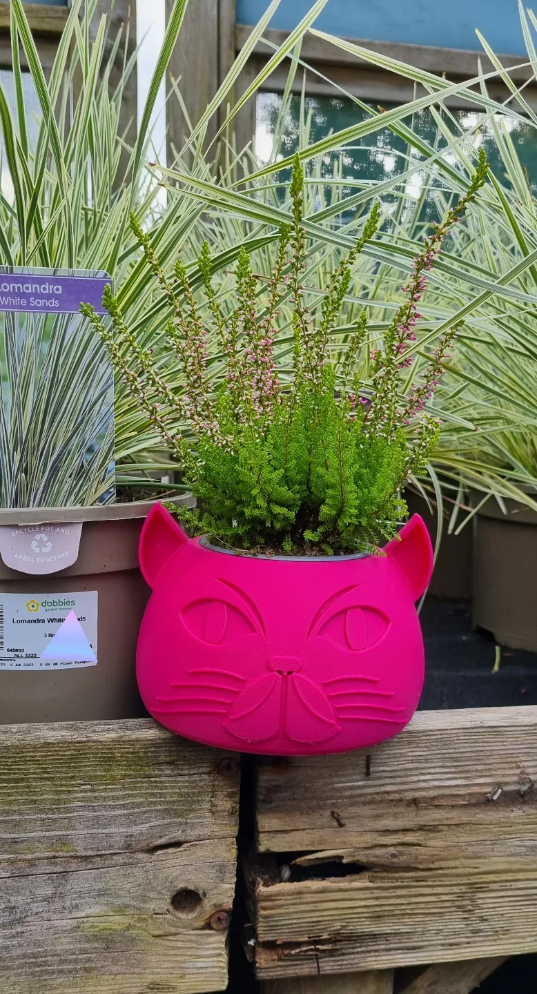 Cat head shaped plant pot
