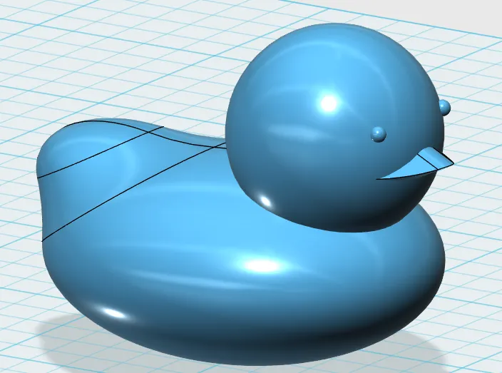 Duck