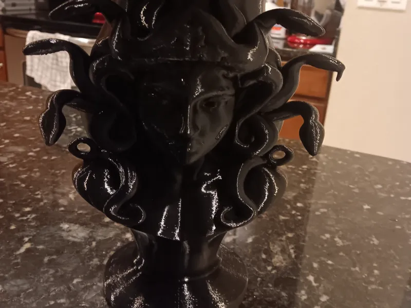 Medusa Vase