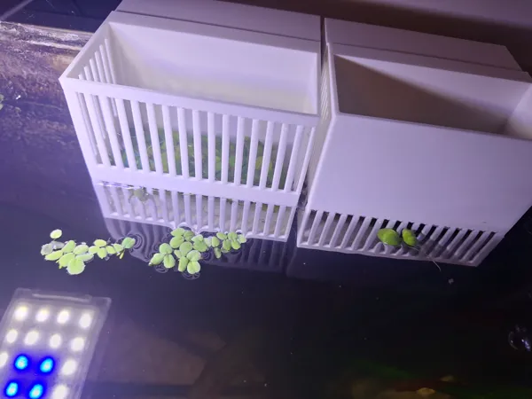 https://makerworld.bblmw.com/makerworld/model/US480d77dc5019ed/design/2025-01-04_6f42213e98c0a.jpg