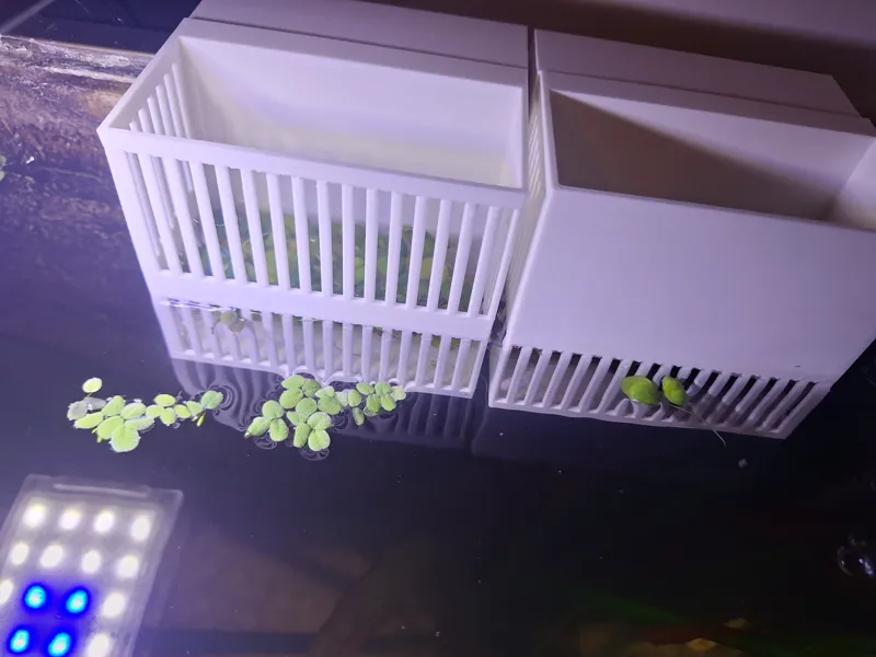Aquarium plant boxes