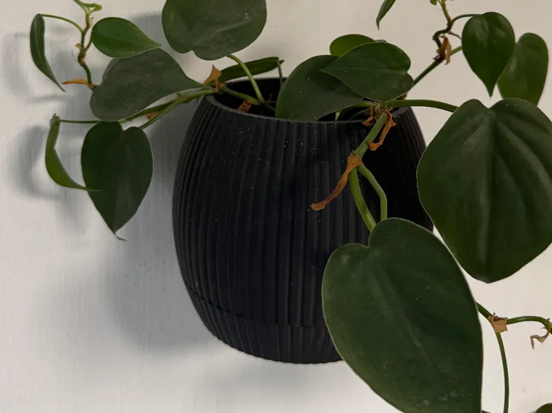 Wandtopf mit Abtropfschale