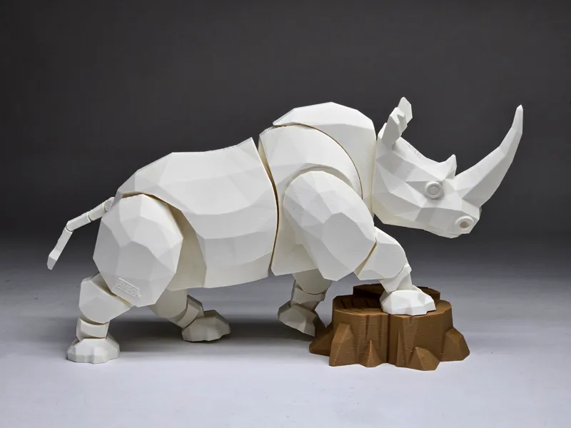 Blank Rhino