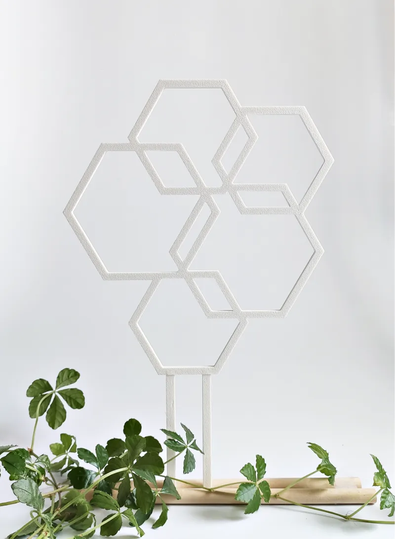Hexagonal support for plants