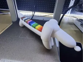 Balloon Swatchdog