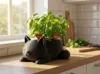 135mm – Large Planter | Flowers & Arrangements | No Supports