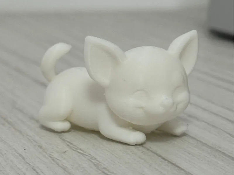 Cute Chihuahua
