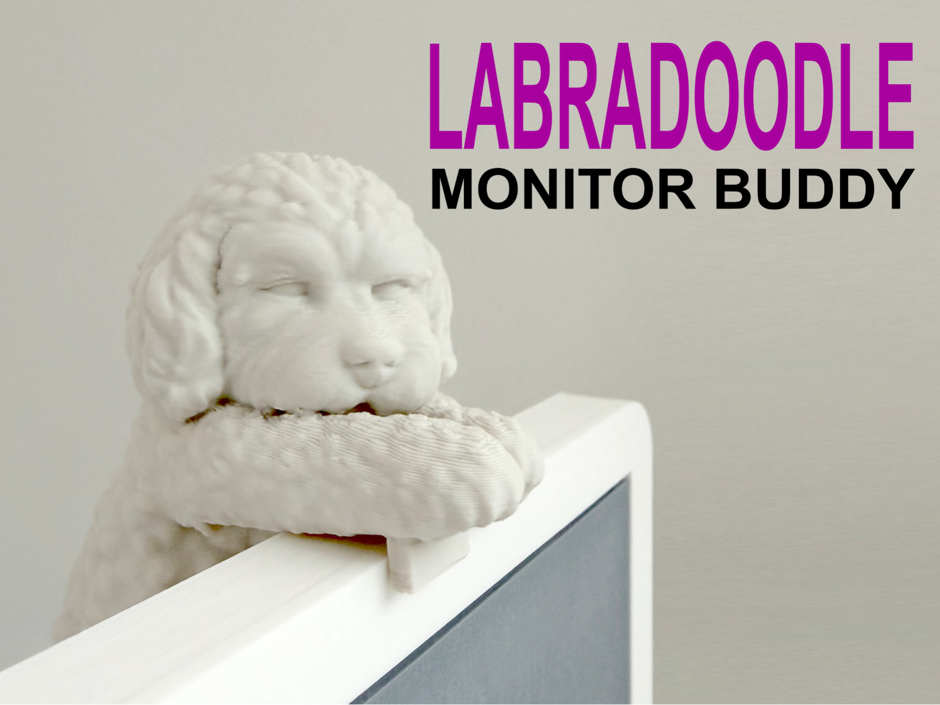 Labradoodle Monitor Buddy