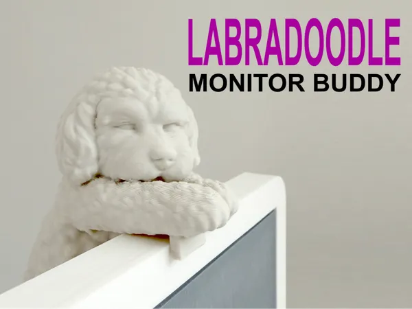 https://makerworld.bblmw.com/makerworld/model/US4829bc4311bef0/design/fb18bee1d9e698ce.jpg