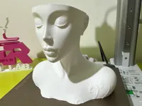 0.2mm layer, 2 walls, 5% infill
