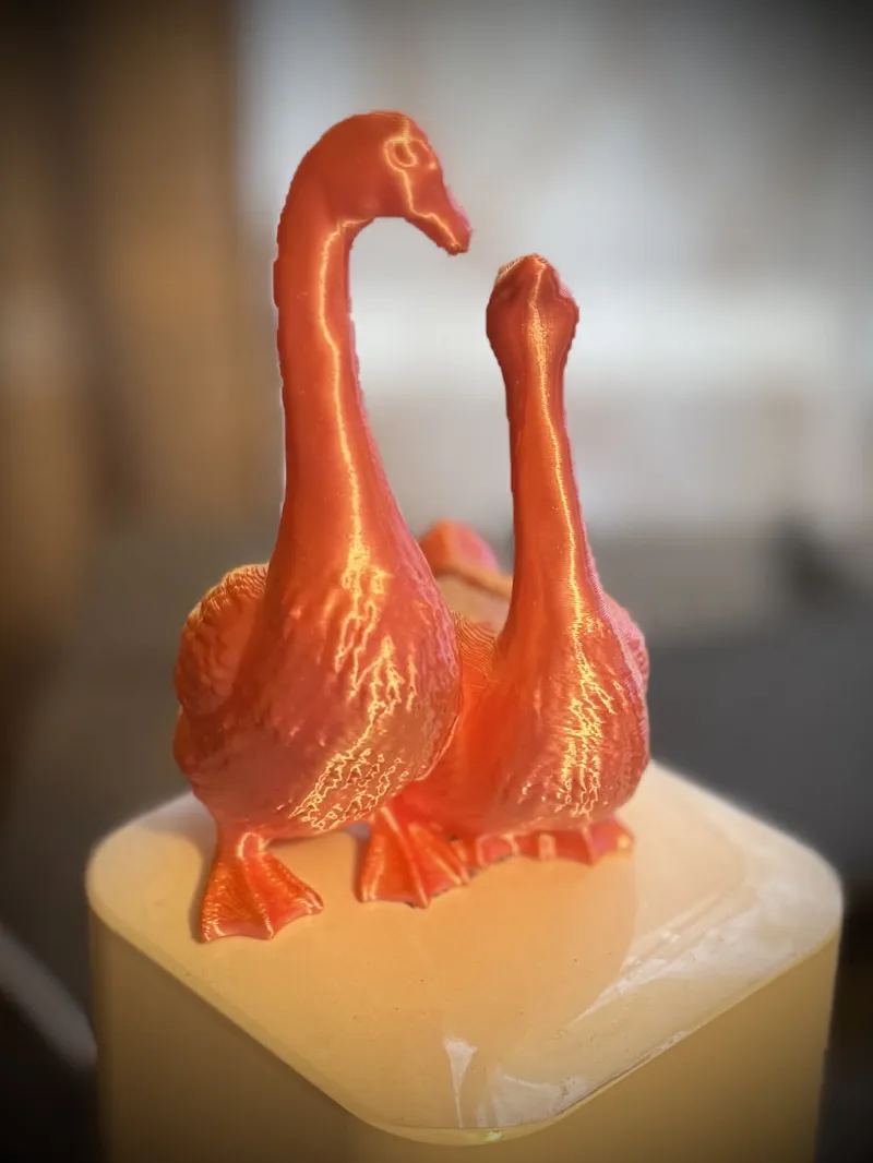 2 Geese