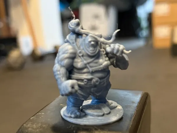 https://makerworld.bblmw.com/makerworld/model/US482d0abf801882/design/2024-12-31_1b38e4ffc3fab.jpeg